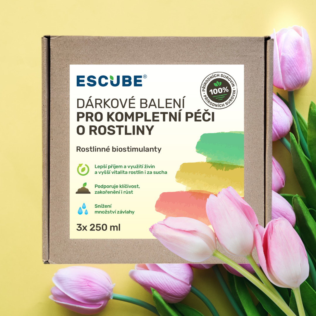 Dárkové balení 6_cz--cs-CZ